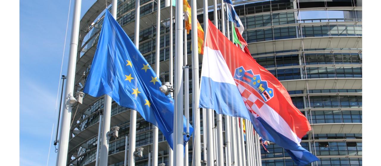 Blaue Papiertonne - Nein Danke!